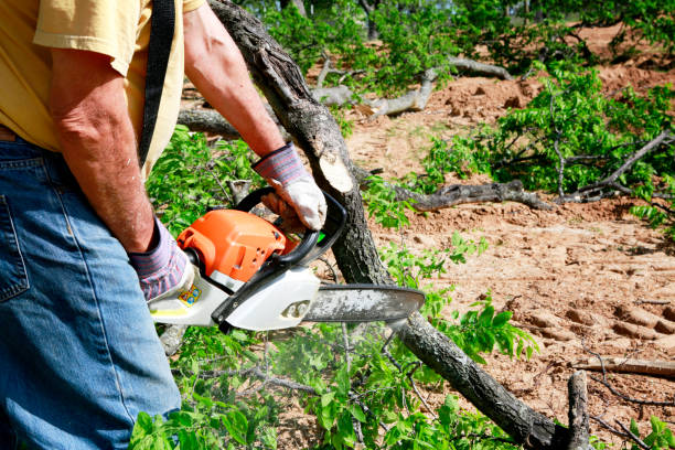 Residential Tree Removal in Grundy, VA